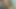 Üvey kız kardeş ve üvey erkek kardeşi seks videosunu kapatıyor, evde birlikteler