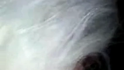 ırklararası crossdresser oral seks