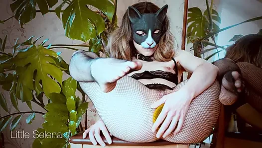 Kamu suka kitties dengan pantat menganga?