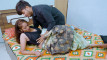 Pratinjau video