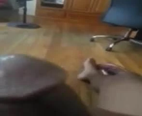 Black cock Fun