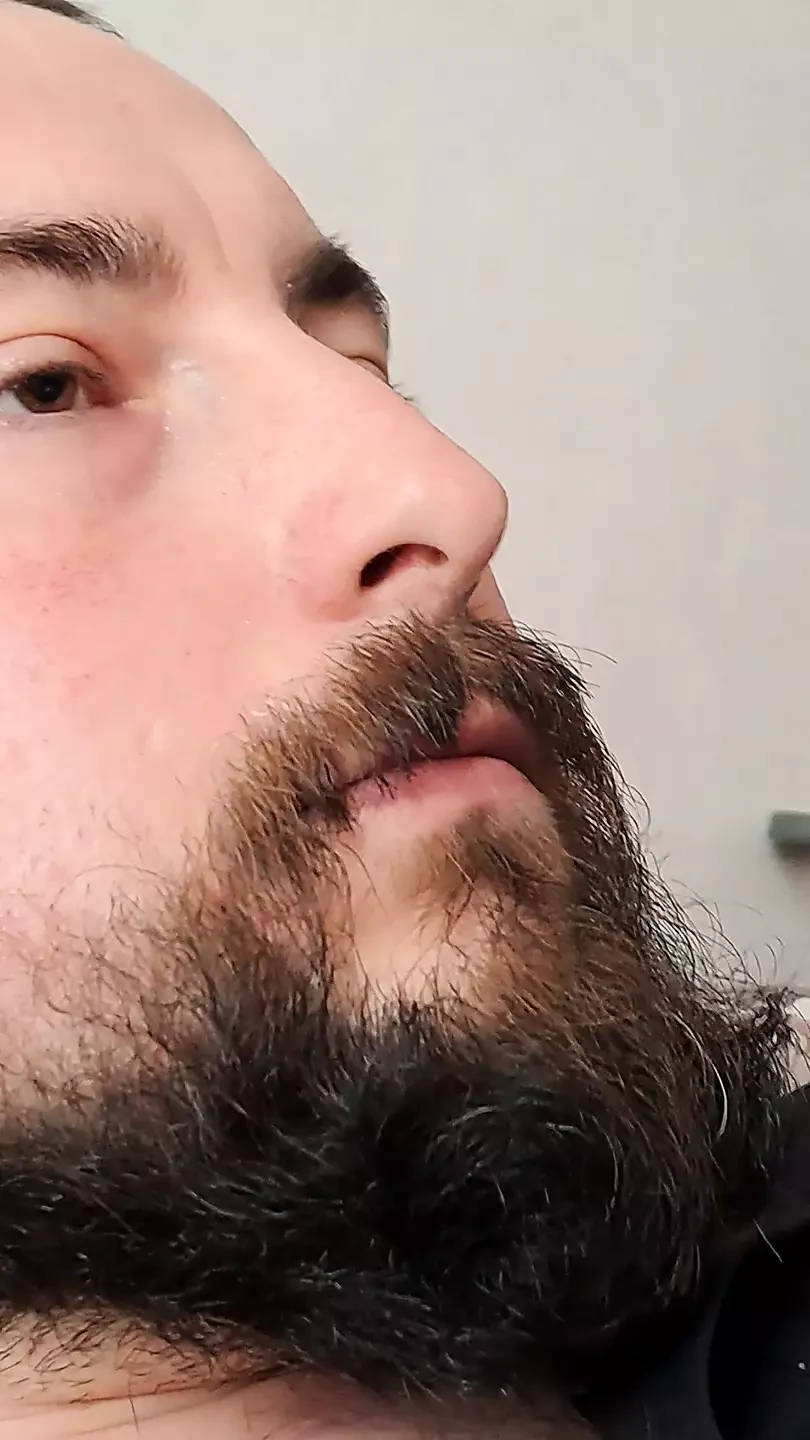 Solo barbudo gay cara masturba seu pau peludo sem gozar
