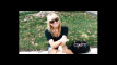 Pratonton Video