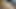جاري يريد أن يمارس الجنس ويأتي إلي