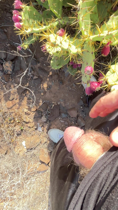 大自然中的小便