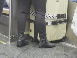 O asiatică grasă în trenul CTA