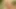 Sexy blonde shemale gets her tight asshole licked from behind