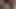 Paolainga videosu