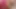 My thickest dildo gaping my ass 1