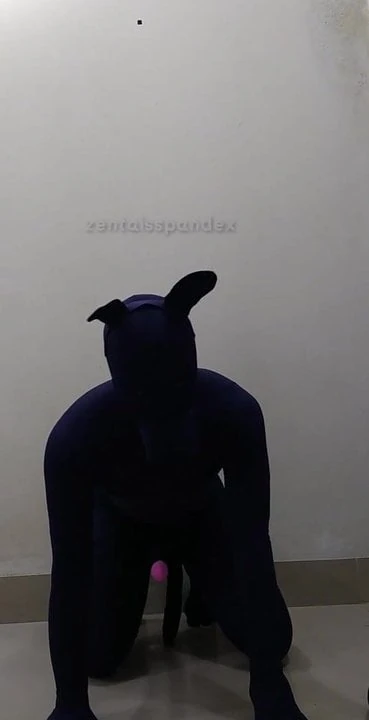 Zentai dog penis femdom slave pee