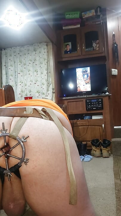 Anal Dilator