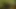 Tasks from the Master 29.06.2019