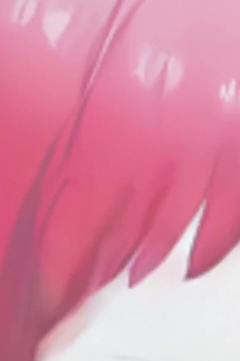 One Piece Uta (10) Hen