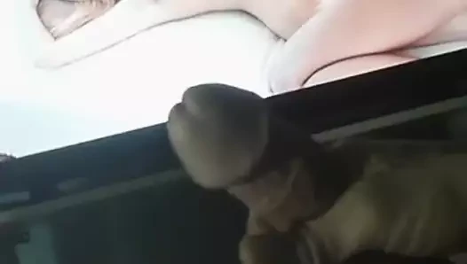 Lov