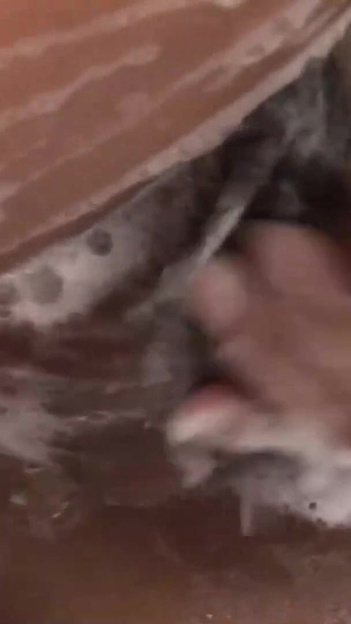 My Thai Date has a cock under her Skirt | Clip 1