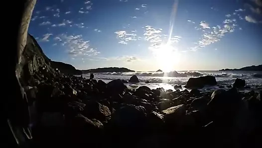 Canlı plaj kamerası kuzgun bebek