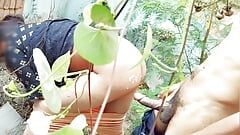 Geliefden seks in de jungle, virale mms