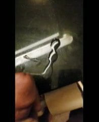 慢动作爸爸射精