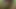 Indian school boy masturbation in farm
