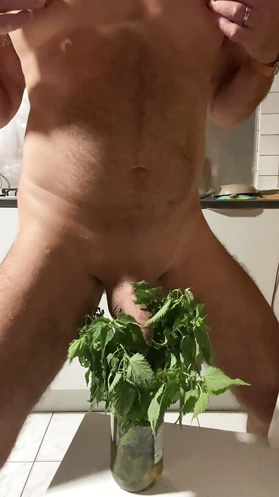Solo Fun in the Nettles