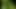 Vintage green nylon slip spurt