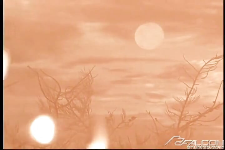 Absolute Arid
