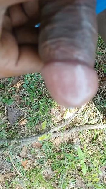 Play WITH Hard xxx Cock