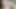 Rahim Yar Khan,Punjab Desi videos