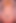 AI美女、ループポルノ、ブロンドビッチ