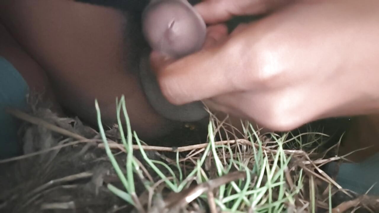 Deljenje kanala kao i pretplata