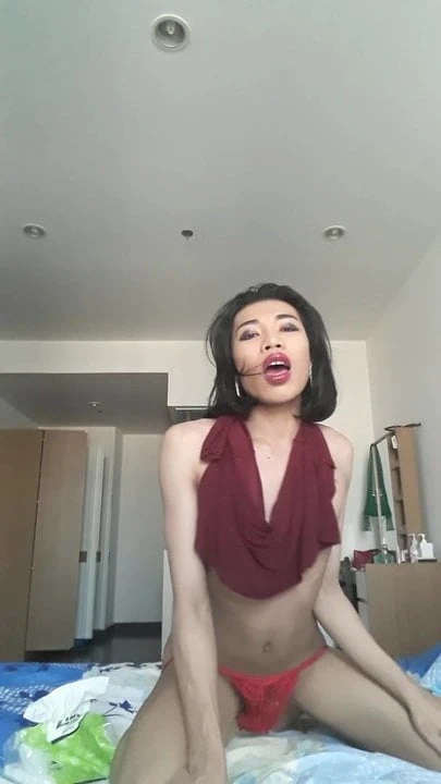 suzylertranskiss
