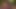 Stepmom Plays with Her Lips with My Dick and I Just Put It in Her Ass