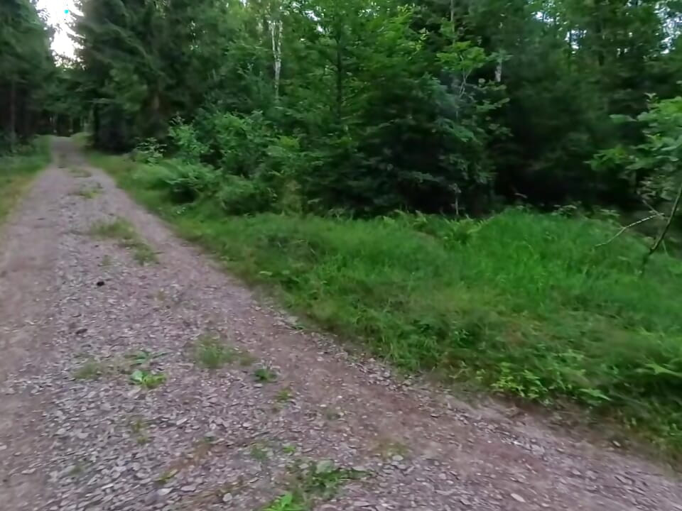 Nude hike in the greenery of  teenager