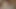 I accidentally booked my Stepmom, why didn't she leave? Her mature hairy MILF pussy was soaking at the thought of fucking me