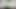 Gardevoir Cum Tribute SOP 4