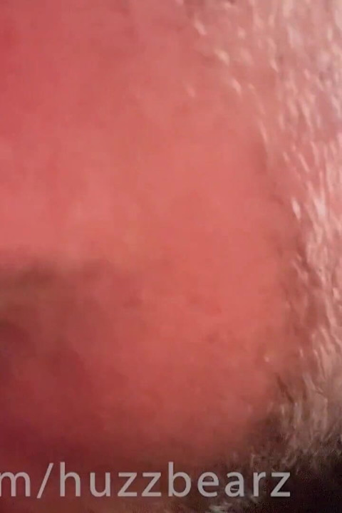 Urso boquete ejaculação