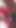 لحظة قوية من "سكاي بيرس ومايسي مونرو: مفاجأة أرانب الثلج الشقراء XMAS بي بي سي عبادة الديك"