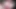 HANDSFREE HOT CUMSHOT MOST JUICY WET MASTURBATING WITHOUT USING HANDS HOT LOAG OF BIG CUM FOUNTAIN
