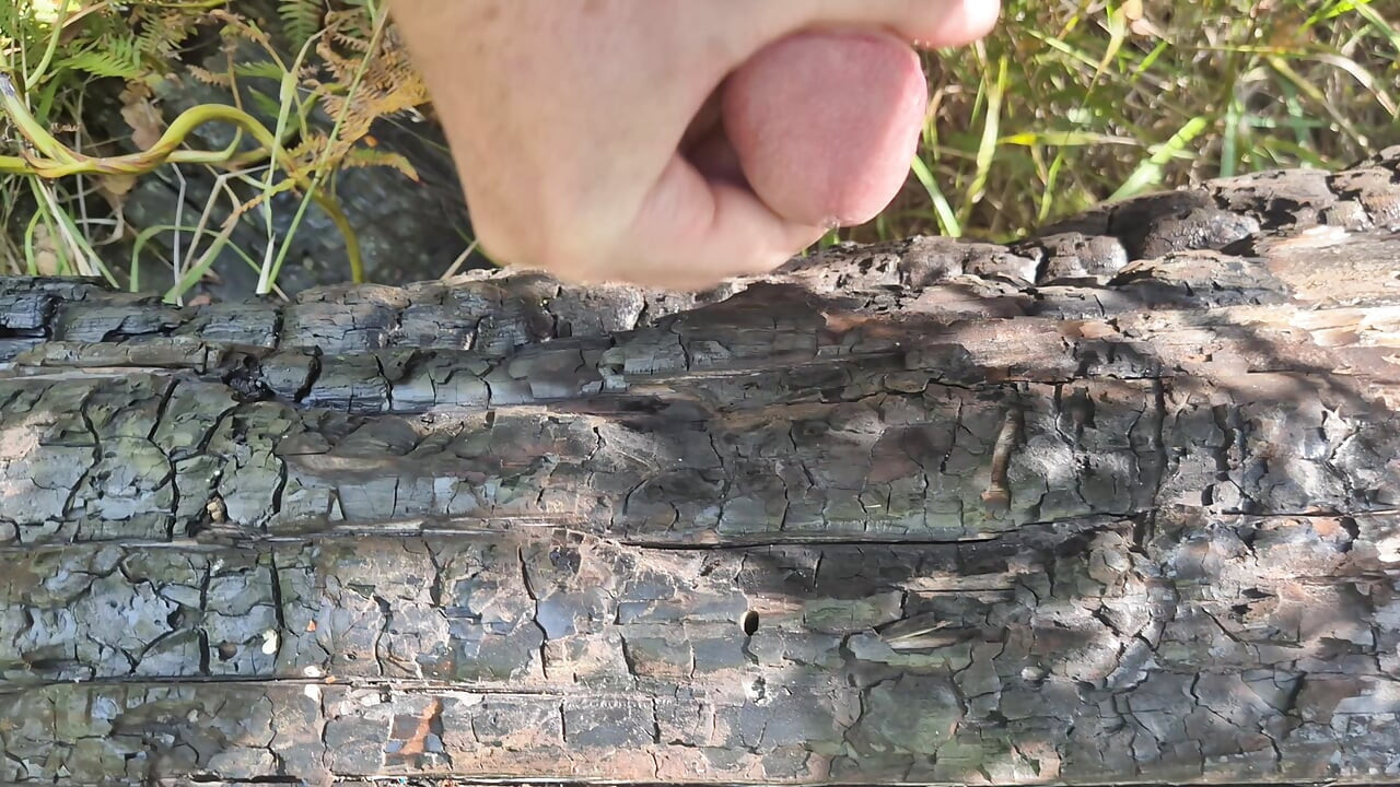 so much delicious sperm - jerking off on burnt tree