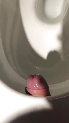 In A Public Toilet Using The Toilet To Fuck & Shooting My Load Into The Toilet!
