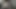 Video di kimchampf
