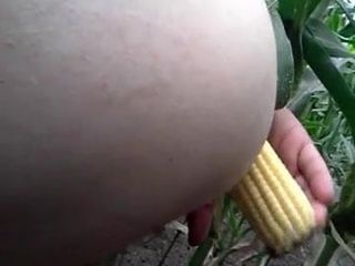 Кукуруза в моей заднице