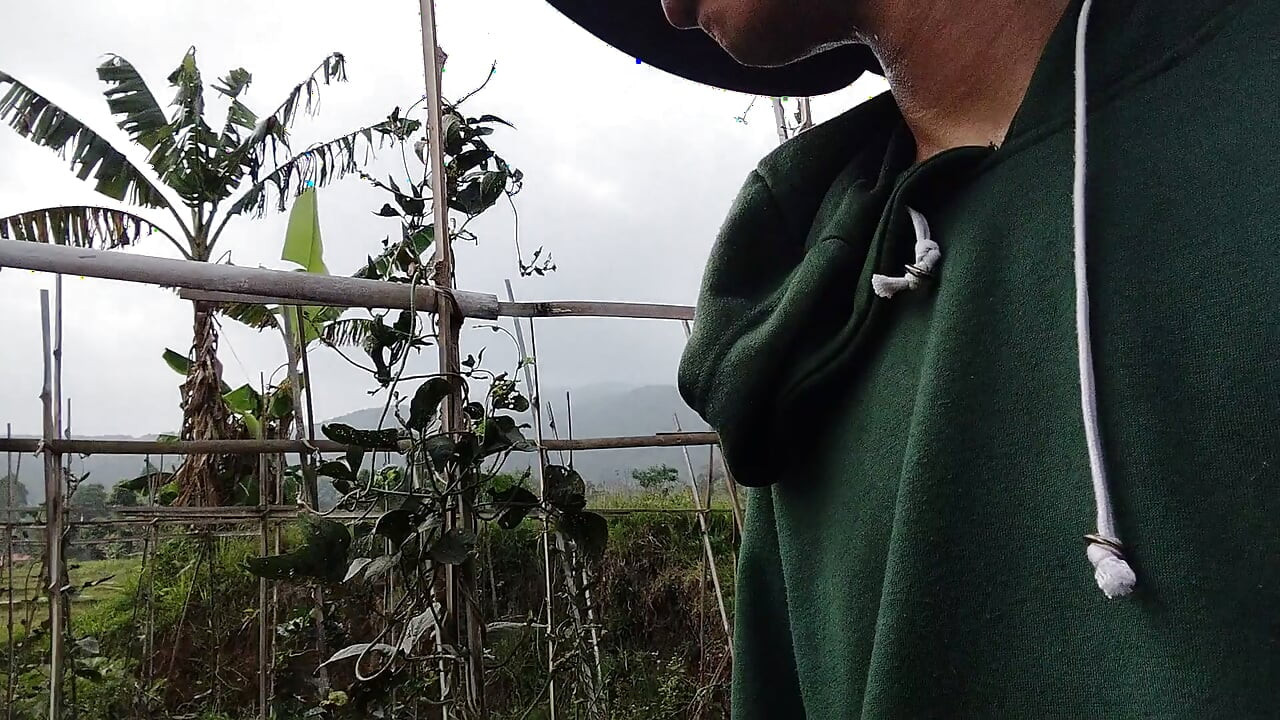 Les jeunes eux-mêmes dans le jardin de thé sont encore en train de cultiver