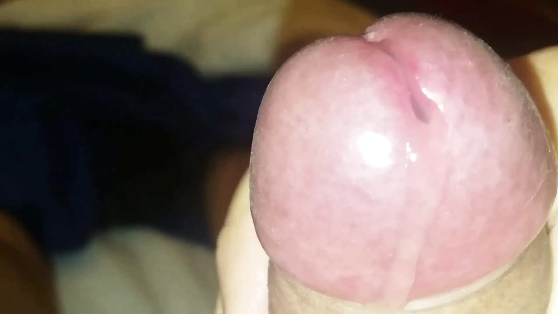 精液汇编