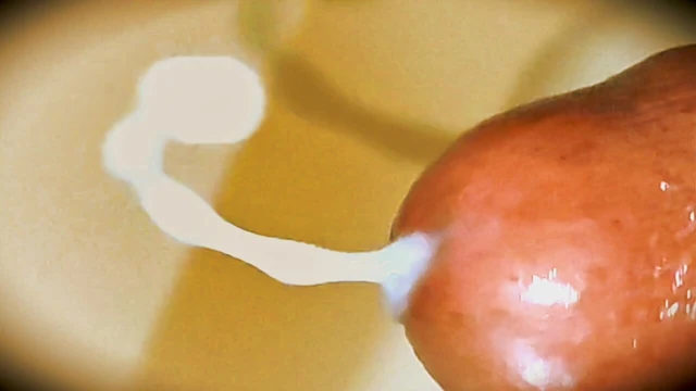 Ultimate dream. Sensual and passionate cum deep inside pussy.