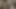 #indian baharatlı #desi meyve #indian