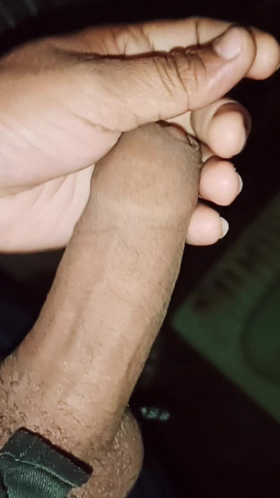 Indin desi land, jaipur vale ka cock
