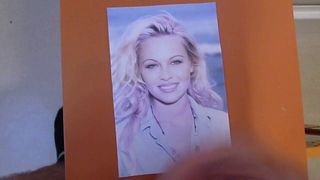 Pamela Anderson, old Cum Tribute in my PC