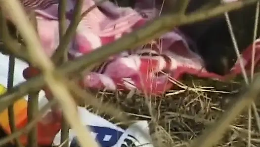 Cewek amatir jerman lagi asik mainin memeknya di luar ruangan