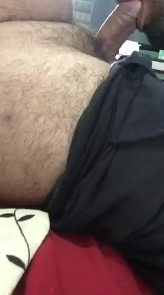 Urso